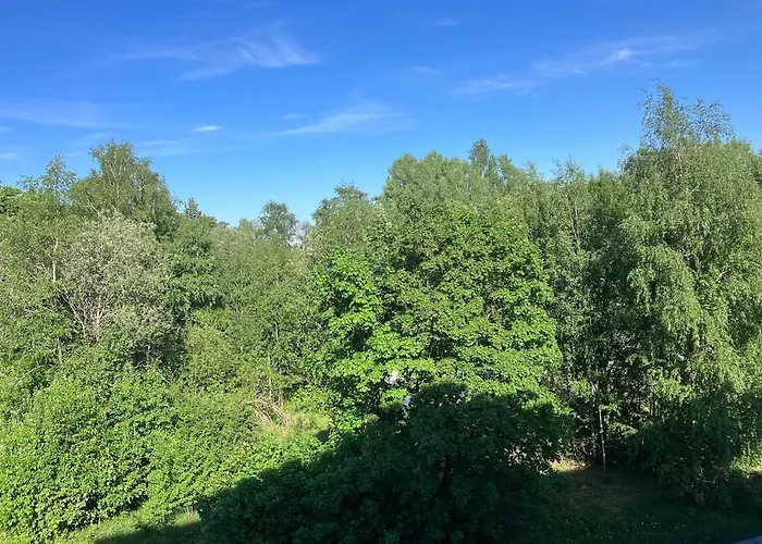 Beautiful With Sauna, Balcony Апартаменты Раума